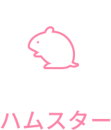 ハムスター