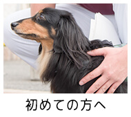 初めての方へ