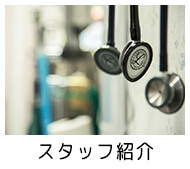 スタッフ紹介