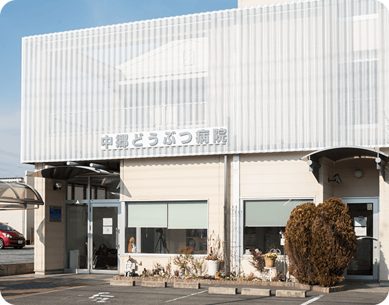 何でも相談できる動物病院イメージ