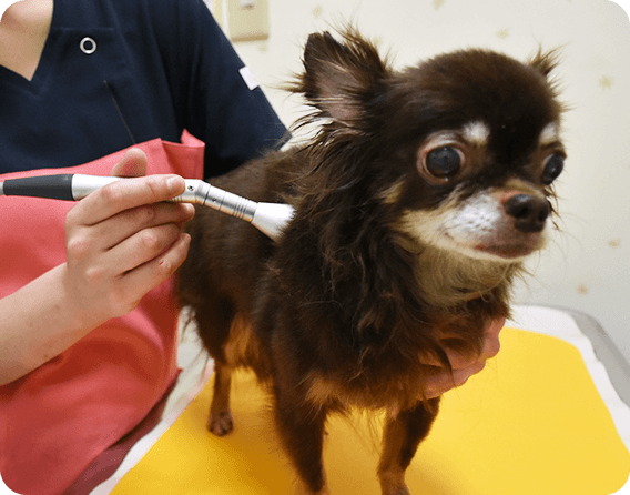 開業30年を越える信頼イメージ